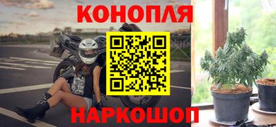 крисы Тулун