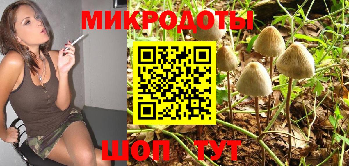 Волжский  Галлюциногенные грибы ЛСД  Вход с VPN  Псилоцибиновые грибы прущие грибы 